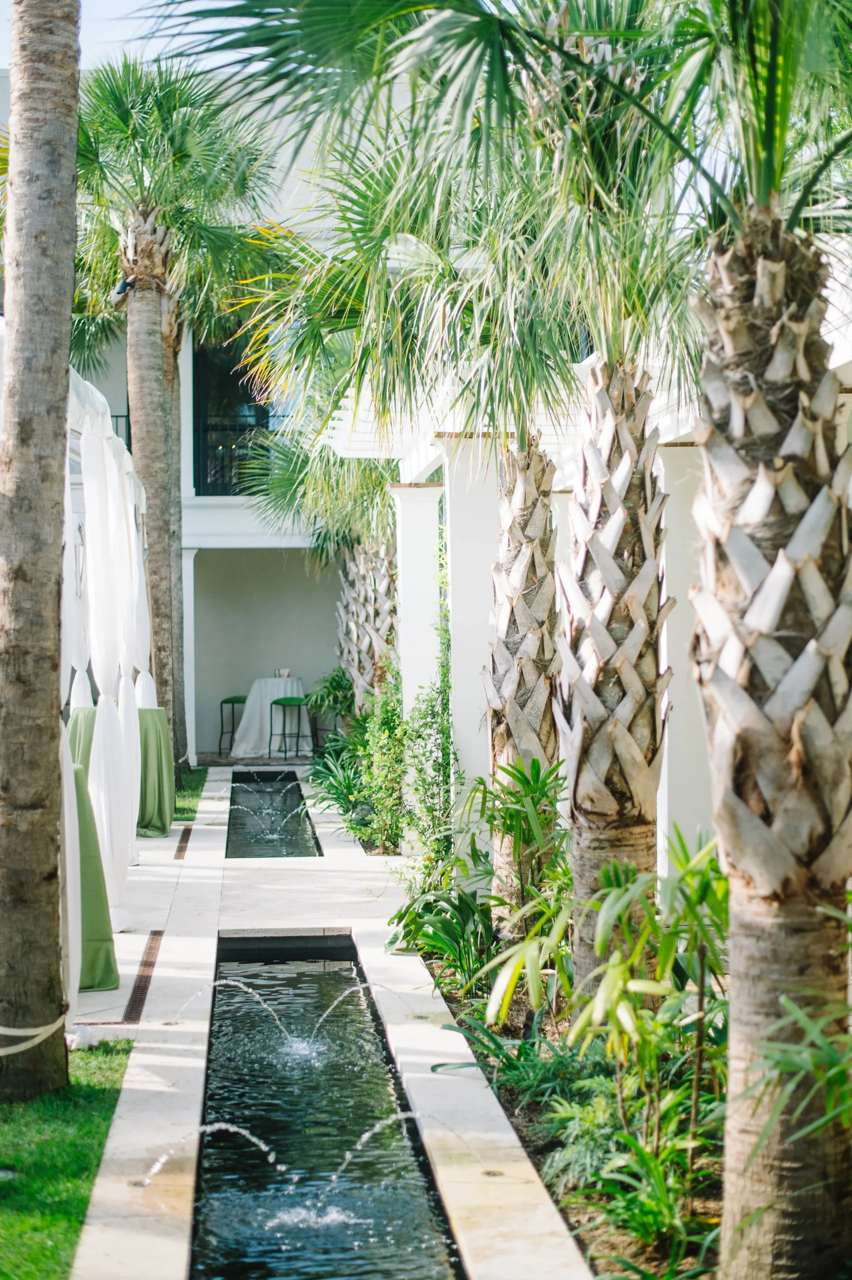 Cannon Green Charleston