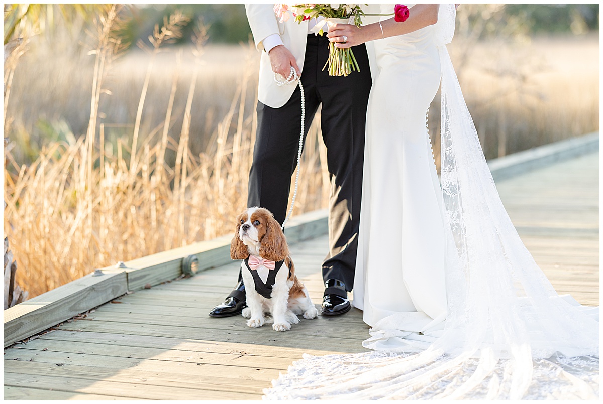 Charleston Live Wedding Painter at Daniel Island Club Wedding